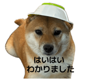 880398375