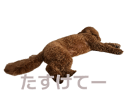 880398398