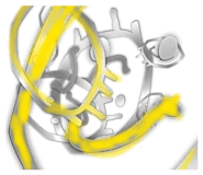 880398524