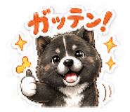 880399556