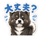 880399557