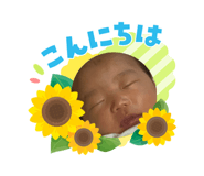 880400789