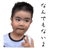 880401551