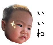880401556