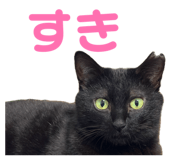 880401599