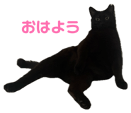 880401600