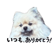 880402224