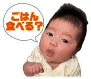 880402264