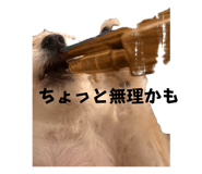 880402283