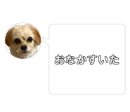 880402289