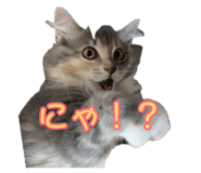 880402324
