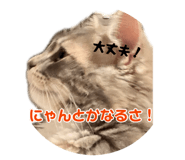 880402327