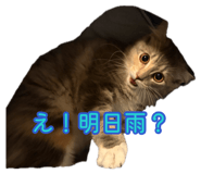 880402331