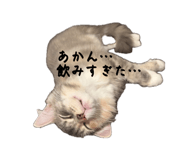 880402334