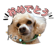 880402346