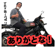 880402981