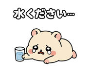 880417838