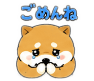 880423596