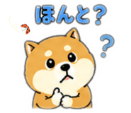 880423621