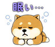 880423625