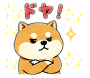 880423628