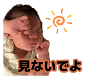 880423662