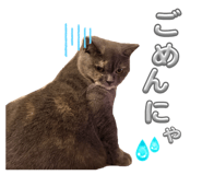880423986