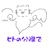 880424562