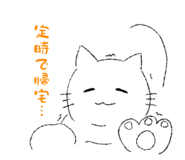 880424567
