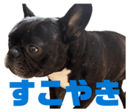 880424885