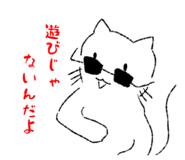 880424916
