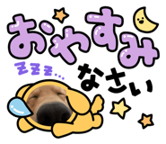 880426220