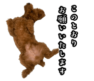880426299