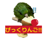 880426336