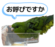 880426344