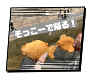 880427067