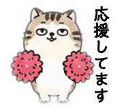 880427196