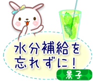 880427544