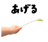 880428413