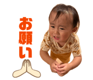880428494