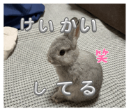 880428510
