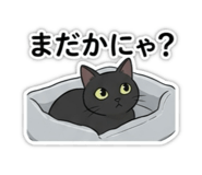 880428564