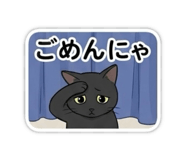 880428565