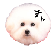 880428604