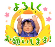 880428685