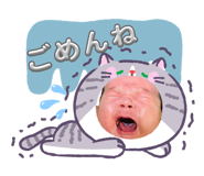 880428694