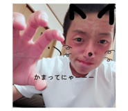 880428733