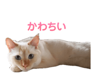 880429469