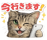 880429593