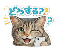 880429594